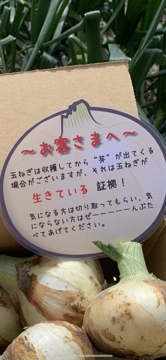 【玉ねぎ白剥き！白剥き新玉ねぎ！生ゴミ無し！主婦の味方】 - 画像 (6)