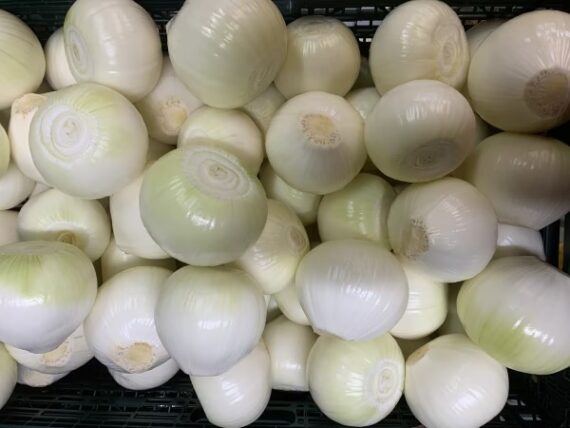 【玉ねぎ白剥き！白剥き新玉ねぎ！生ゴミ無し！主婦の味方】