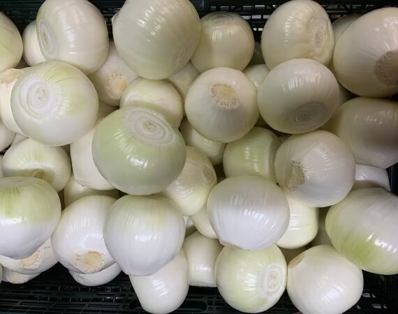 【玉ねぎ白剥き！白剥き新玉ねぎ！生ゴミ無し！主婦の味方】